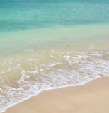 Ocean  Beach with Citrus Fruits Melon and  coconut husk Soap