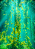 Mineral  Organic Sea Kelp soap - Rebecca's Paradise