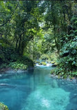 River Jungle soap Bar with Cypress,Sandalwood, Coconut husk, and Tobacco leaf